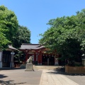 実際訪問したユーザーが直接撮影して投稿した旗の台神社旗岡八幡神社の写真