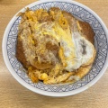 かつ丼 - 実際訪問したユーザーが直接撮影して投稿した浅間うどんどんどん庵 浅間町店の写真のメニュー情報