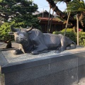 実際訪問したユーザーが直接撮影して投稿した天神町神社白潟天満宮の写真