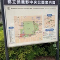 実際訪問したユーザーが直接撮影して投稿した八幡町公園武蔵野中央公園の写真