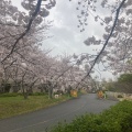 実際訪問したユーザーが直接撮影して投稿した大高町公園大高緑地の写真