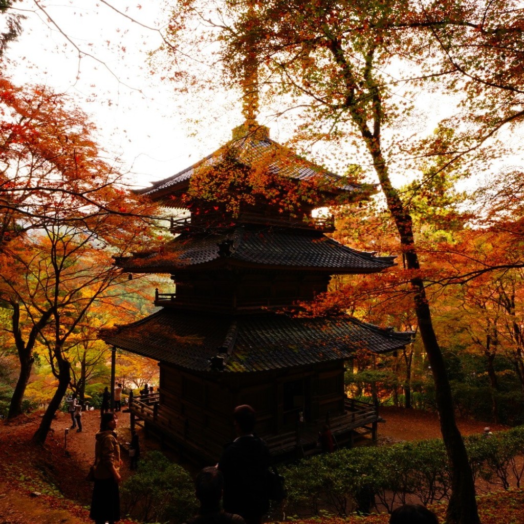 実際訪問したユーザーが直接撮影して投稿した青垣町桧倉寺高源寺の写真