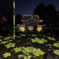 実際訪問したユーザーが直接撮影して投稿した桝屋町和カフェ / 甘味処高台寺雲居庵の写真