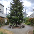 実際訪問したユーザーが直接撮影して投稿した岩戸南公園狛江市立もみの木児童遊園の写真