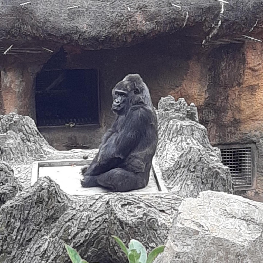 ゆかpanさんが投稿した上野公園動物園のお店上野動物園/ウエノドウブツエンの写真