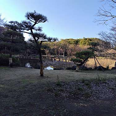 実際訪問したユーザーが直接撮影して投稿した新富公園市民ふれあい公園の写真