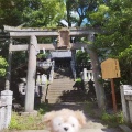 実際訪問したユーザーが直接撮影して投稿した上宿町神社湯前神社の写真