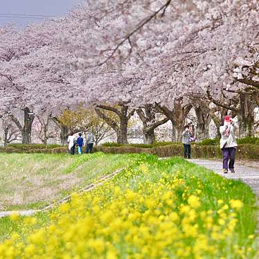 実際訪問したユーザーが直接撮影して投稿した石橋公園姿川アメニティパークの写真