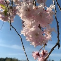 実際訪問したユーザーが直接撮影して投稿した建部町田地子公園たけべの森公園の写真