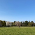 実際訪問したユーザーが直接撮影して投稿した関野町公園小金井公園の写真