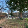 実際訪問したユーザーが直接撮影して投稿した和泉町公園内林第二公園の写真