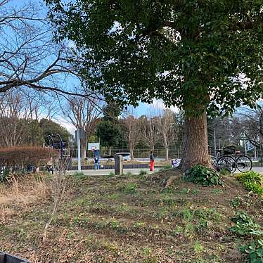 実際訪問したユーザーが直接撮影して投稿した和泉町公園内林第二公園の写真