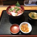 なかおち丼 - 実際訪問したユーザーが直接撮影して投稿した山下町寿司磯料理の田子の写真のメニュー情報