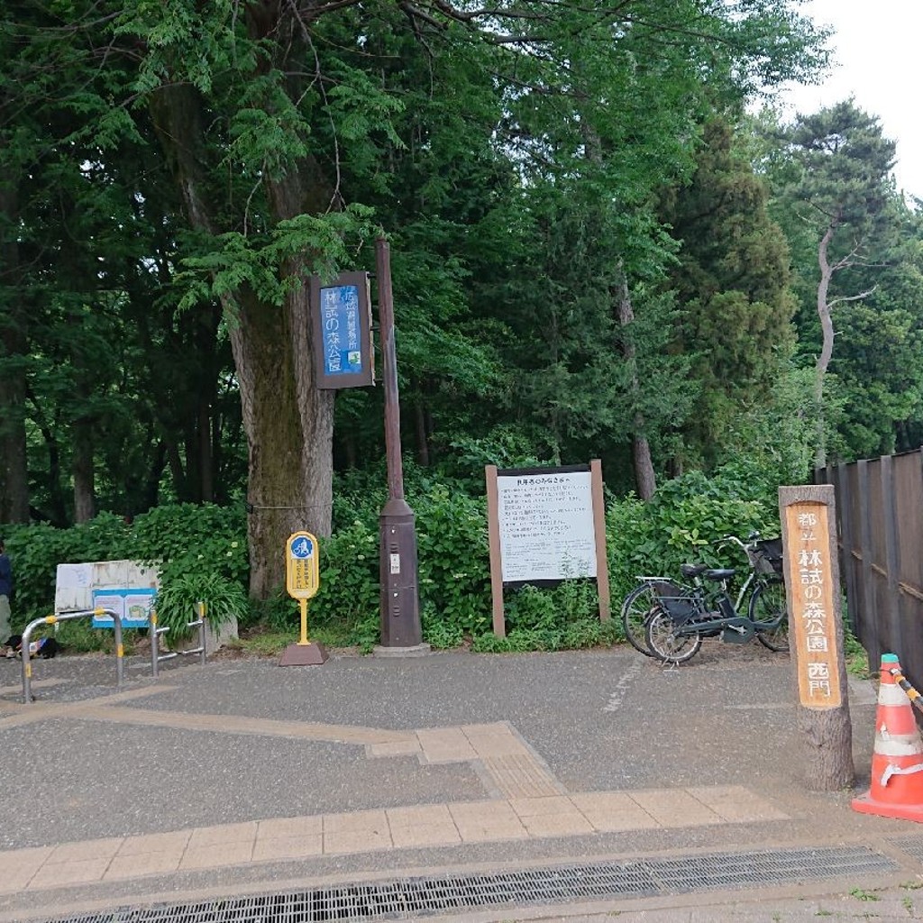 実際訪問したユーザーが直接撮影して投稿した小山台公園都立林試の森公園の写真