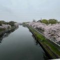 実際訪問したユーザーが直接撮影して投稿した品川町公園荒子川公園の写真