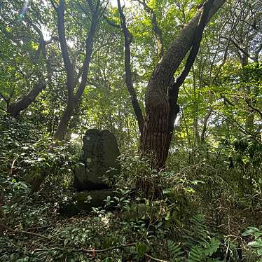 実際訪問したユーザーが直接撮影して投稿した丸の内歴史 / 遺跡本丸園地の写真