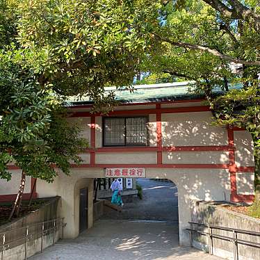 yummy-さんが投稿した富岡神社のお店富岡八幡宮/トミオカハチマングウの写真