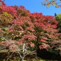 実際訪問したユーザーが直接撮影して投稿した見祢山神社土津神社の写真