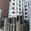 実際訪問したユーザーが直接撮影して投稿した名駅南神社白鷹龍神の写真