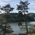 実際訪問したユーザーが直接撮影して投稿した田井湖沼 / 池赤松池の写真