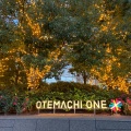 実際訪問したユーザーが直接撮影して投稿した大手町庭園OTEMACHI ONE GARDENの写真