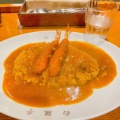 実際訪問したユーザーが直接撮影して投稿した南本町カレーカレー専門店 白銀亭  イトゥビル店の写真