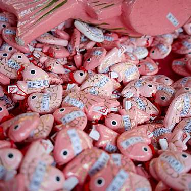 川越氷川神社のundefinedに実際訪問訪問したユーザーunknownさんが新しく投稿した新着口コミの写真