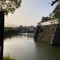 実際訪問したユーザーが直接撮影して投稿した岸城町城 / 城跡岸和田城 内堀の写真