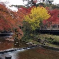 実際訪問したユーザーが直接撮影して投稿した岩屋町公園岩屋堂公園の写真