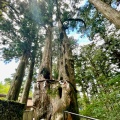 実際訪問したユーザーが直接撮影して投稿した玉置川神社玉置神社の写真