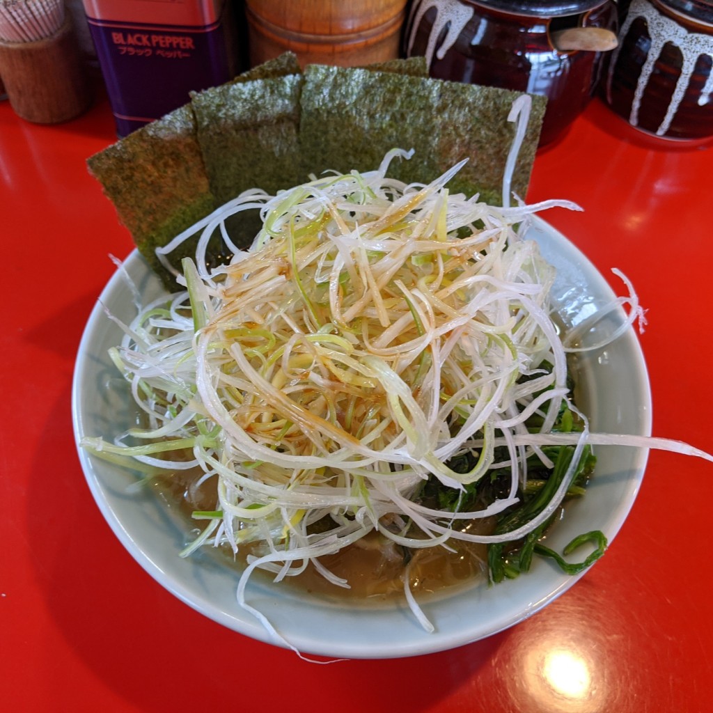 ユーザーが投稿したネギラーメンの写真 - 実際訪問したユーザーが直接撮影して投稿した折本町ラーメン / つけ麺介一家 うりゅうの写真