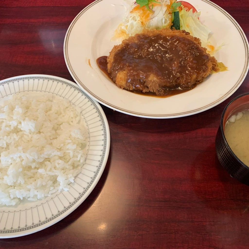 ユーザーが投稿したチキンカツの写真 - 実際訪問したユーザーが直接撮影して投稿した高崎町大牟田洋食レストラン たのうえの写真