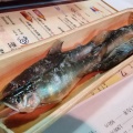 実際訪問したユーザーが直接撮影して投稿した南浜町魚介 / 海鮮料理鮎茶屋 かわせの写真