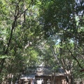 実際訪問したユーザーが直接撮影して投稿した有馬町神社花窟神社の写真