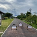 実際訪問したユーザーが直接撮影して投稿した大路公園草津川跡地公園 de愛ひろば(区間5)の写真