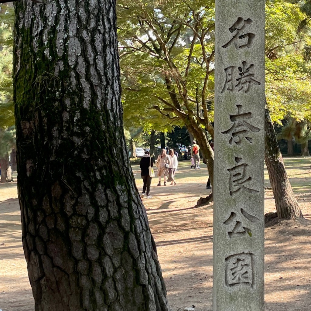 実際訪問したユーザーが直接撮影して投稿した登大路町記念碑名勝奈良公園碑の写真