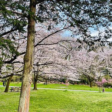 桜ヶ丘公園のundefinedに実際訪問訪問したユーザーunknownさんが新しく投稿した新着口コミの写真