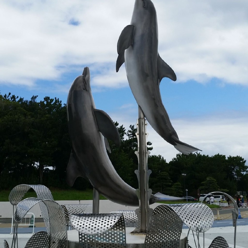 YST10さんが投稿した西戸崎水族館 / アクアリウムのお店マリンワールド海の中道/マリンワールドウミノナカミチの写真