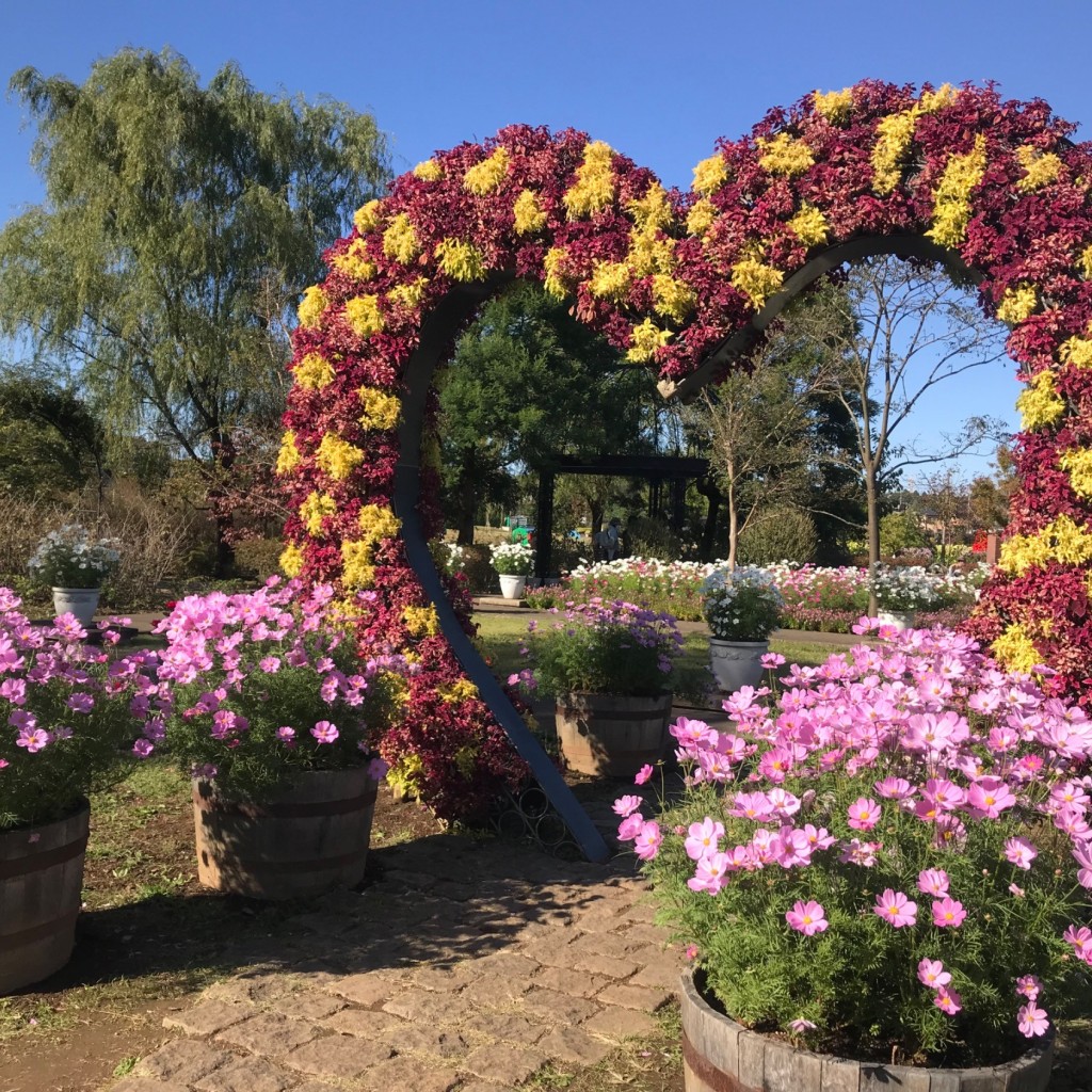 経巡鯉画龍さんが投稿した金堀町公園のお店ふなばしアンデルセン公園/フナバシアンデルセンコウエンの写真