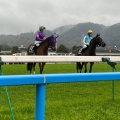 実際訪問したユーザーが直接撮影して投稿した北方競馬場小倉競馬場の写真