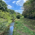 実際訪問したユーザーが直接撮影して投稿した河川野川の写真