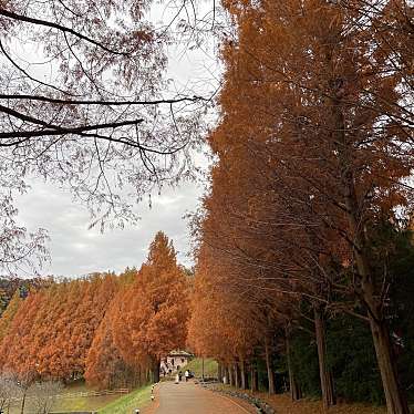 トーベ ヤンソンあけぼの子どもの森公園のundefinedに実際訪問訪問したユーザーunknownさんが新しく投稿した新着口コミの写真