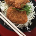 実際訪問したユーザーが直接撮影して投稿した石井丼もの炭焼き豚丼 源喜亭の写真