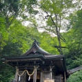 実際訪問したユーザーが直接撮影して投稿した戸隠神社戸隠神社 九頭龍社の写真