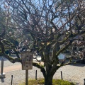 実際訪問したユーザーが直接撮影して投稿した尾山町神社尾山神社の写真