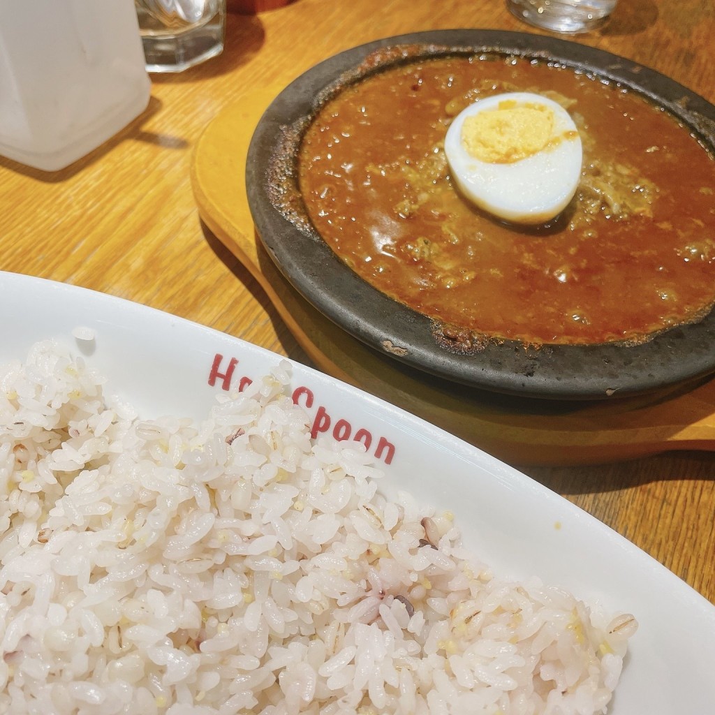 ユーザーが投稿したカレーの写真 - 実際訪問したユーザーが直接撮影して投稿した西新宿カレーHot spoon 西新宿店の写真