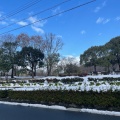 実際訪問したユーザーが直接撮影して投稿した長良公園長良公園の写真