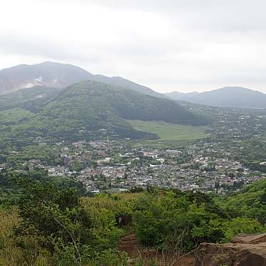 実際訪問したユーザーが直接撮影して投稿した仙石原山 / 峠金時山の写真