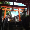 実際訪問したユーザーが直接撮影して投稿した蓬平町神社高龍神社の写真