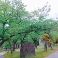 実際訪問したユーザーが直接撮影して投稿した天神公園福岡県営 天神中央公園の写真